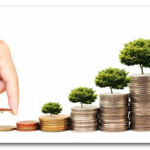 Во что инвестировать свои деньги?