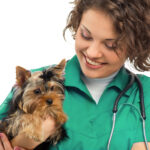 Ветеринарный чек-лист, то есть, как подготовиться к визиту к ветеринару