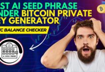 Доступ к забытым биткоин-кошелькам: революция с AI Seed Phrase Finder